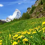 Breithorn By Interhome 아파트 *